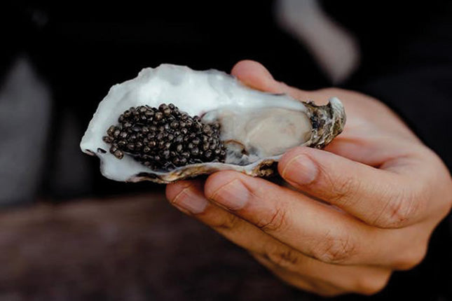 Swedish Black Caviar 25 gram - Arctic Silk
