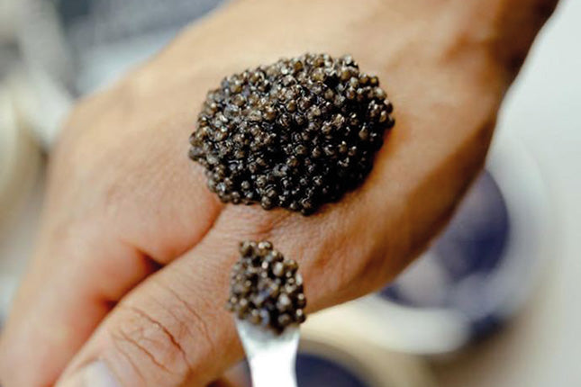 Swedish Black Caviar 25 gram - Arctic Pearl