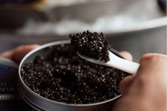 Swedish Black Caviar 10 gram - Arctic Silk