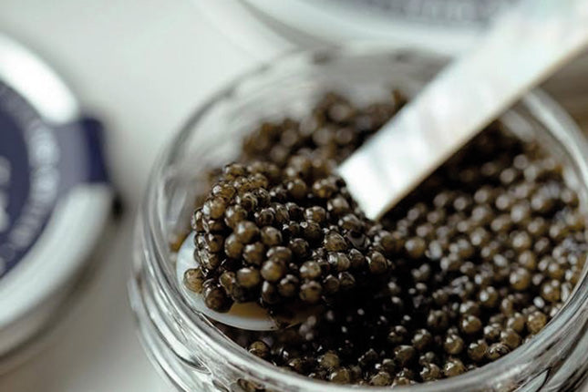 Swedish Black Caviar 10 gram - Arctic Pearl