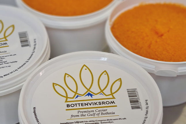 Bottenviksrom 500 gram - 2024