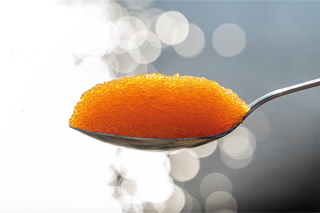 Kalix Löjrom - 75 gr - 2024