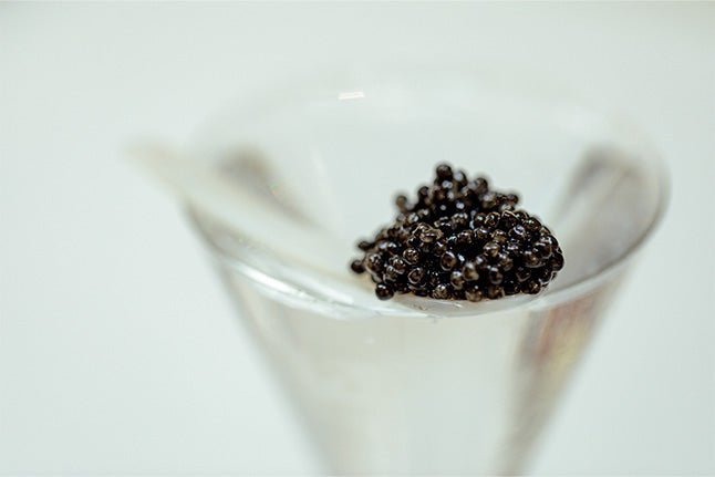 Swedish Black Caviar - Arctic Pearl + Silk